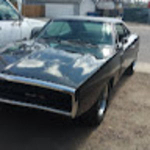 Meet your Posher, Shannon